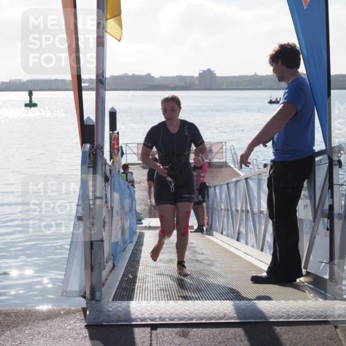 17.08.2025 - KN Förde Triathlon 2025 MichiJ http://msf.ph/oto/8581802 17.08.2025 09:20:45 Schwimmen 188, 211, 240, 241, 188, 197, 205, 228, 241 meine-sportfotos.de