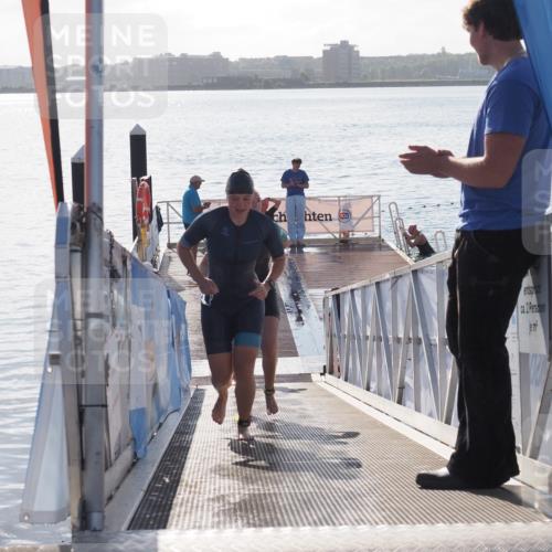 17.08.2025 - KN Förde Triathlon 2025 MichiJ http://msf.ph/oto/8583852 17.08.2025 09:22:03 Schwimmen 212, 215, 242, 244, 210, 212, 213, 215, 224, 242 meine-sportfotos.de