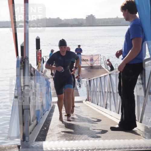 17.08.2025 - KN Förde Triathlon 2025 MichiJ http://msf.ph/oto/8583869 17.08.2025 09:22:04 Schwimmen 212, 215, 242, 244, 210, 212, 213, 215, 224, 242 meine-sportfotos.de