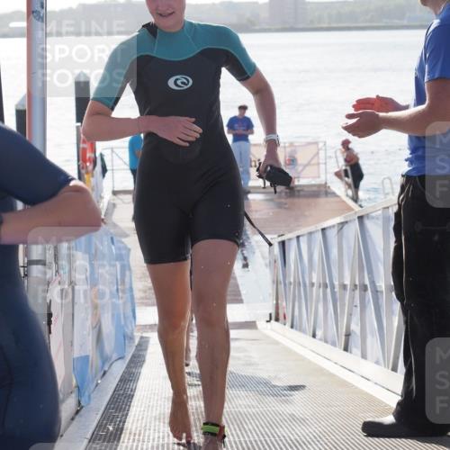 17.08.2025 - KN Förde Triathlon 2025 MichiJ http://msf.ph/oto/8583918 17.08.2025 09:22:06 Schwimmen 210, 212, 215, 242, 210, 213, 224, 242 meine-sportfotos.de