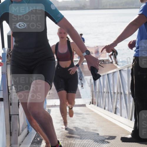 17.08.2025 - KN Förde Triathlon 2025 MichiJ http://msf.ph/oto/8583933 17.08.2025 09:22:06 Schwimmen 210, 212, 215, 242, 210, 213, 224, 242 meine-sportfotos.de