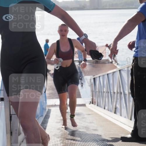 17.08.2025 - KN Förde Triathlon 2025 MichiJ http://msf.ph/oto/8583935 17.08.2025 09:22:07 Schwimmen 210, 212, 215, 242, 210, 213, 224, 242 meine-sportfotos.de