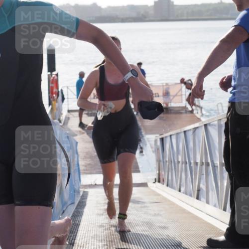 17.08.2025 - KN Förde Triathlon 2025 MichiJ http://msf.ph/oto/8583939 17.08.2025 09:22:07 Schwimmen 210, 212, 215, 242, 210, 213, 224, 242 meine-sportfotos.de