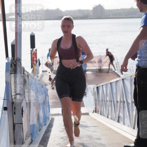 17.08.2025 - KN Förde Triathlon 2025 MichiJ http://msf.ph/oto/8583951 17.08.2025 09:22:07 Schwimmen 210, 212, 215, 242, 210, 213, 224, 242 meine-sportfotos.de