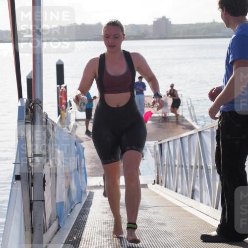 17.08.2025 - KN Förde Triathlon 2025 MichiJ http://msf.ph/oto/8583961 17.08.2025 09:22:07 Schwimmen 210, 212, 215, 242, 210, 213, 224, 242 meine-sportfotos.de