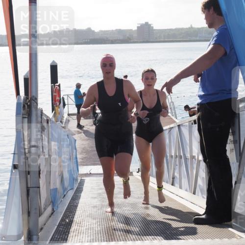 17.08.2025 - KN Förde Triathlon 2025 MichiJ http://msf.ph/oto/8584140 17.08.2025 09:22:15 Schwimmen 210, 213, 215, 224, 242, 111, 208, 213, 224 meine-sportfotos.de