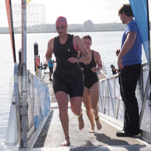 17.08.2025 - KN Förde Triathlon 2025 MichiJ http://msf.ph/oto/8584153 17.08.2025 09:22:16 Schwimmen 210, 213, 224, 242, 111, 208, 213, 224 meine-sportfotos.de