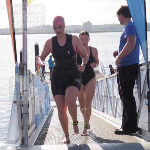 17.08.2025 - KN Förde Triathlon 2025 MichiJ http://msf.ph/oto/8584156 17.08.2025 09:22:16 Schwimmen 210, 213, 224, 242, 111, 208, 213, 224 meine-sportfotos.de