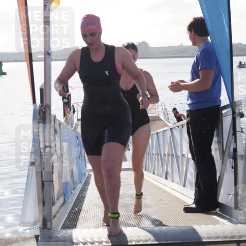 17.08.2025 - KN Förde Triathlon 2025 MichiJ http://msf.ph/oto/8584161 17.08.2025 09:22:16 Schwimmen 210, 213, 224, 242, 111, 208, 213, 224 meine-sportfotos.de