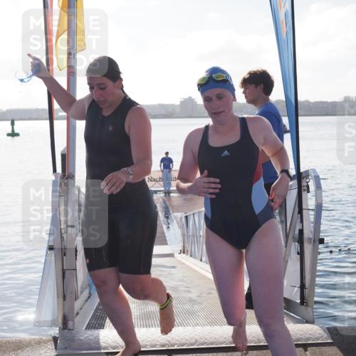 17.08.2025 - KN Förde Triathlon 2025 MichiJ http://msf.ph/oto/8584305 17.08.2025 09:22:29 Schwimmen 111, 208, 221, 235 meine-sportfotos.de