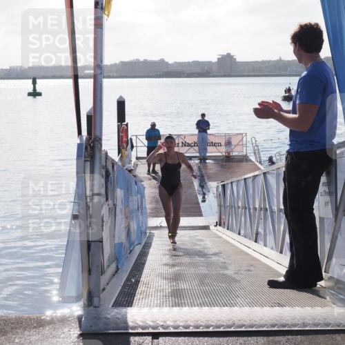 17.08.2025 - KN Förde Triathlon 2025 MichiJ http://msf.ph/oto/8584656 17.08.2025 09:22:51 Schwimmen 246, 249, 234, 249 meine-sportfotos.de