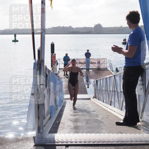 17.08.2025 - KN Förde Triathlon 2025 MichiJ http://msf.ph/oto/8584660 17.08.2025 09:22:51 Schwimmen 246, 249, 234, 249 meine-sportfotos.de