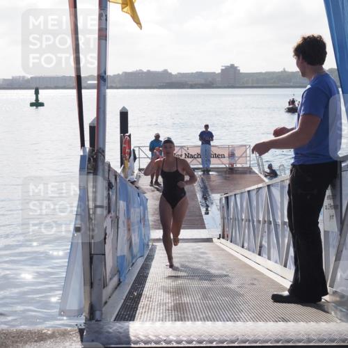 17.08.2025 - KN Förde Triathlon 2025 MichiJ http://msf.ph/oto/8584670 17.08.2025 09:22:51 Schwimmen 246, 249, 234, 249 meine-sportfotos.de