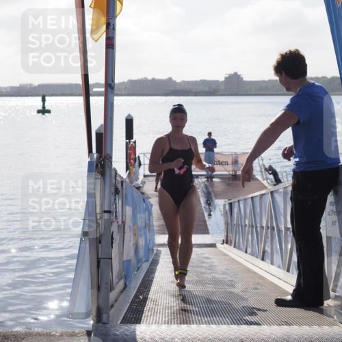 17.08.2025 - KN Förde Triathlon 2025 MichiJ http://msf.ph/oto/8584707 17.08.2025 09:22:52 Schwimmen 246, 249, 234, 249 meine-sportfotos.de