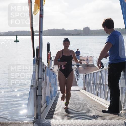 17.08.2025 - KN Förde Triathlon 2025 MichiJ http://msf.ph/oto/8584711 17.08.2025 09:22:52 Schwimmen 246, 249, 234, 249 meine-sportfotos.de