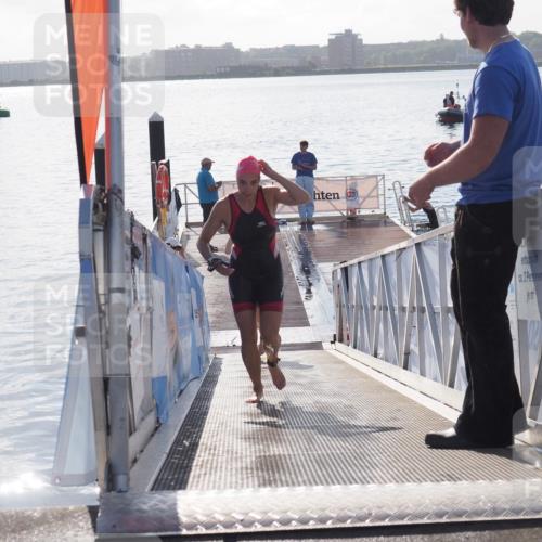 17.08.2025 - KN Förde Triathlon 2025 MichiJ http://msf.ph/oto/8584961 17.08.2025 09:23:17 Schwimmen 225, 237, 218, 225, 237 meine-sportfotos.de