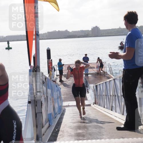 17.08.2025 - KN Förde Triathlon 2025 MichiJ http://msf.ph/oto/8584998 17.08.2025 09:23:20 Schwimmen 225, 237, 218, 225 meine-sportfotos.de