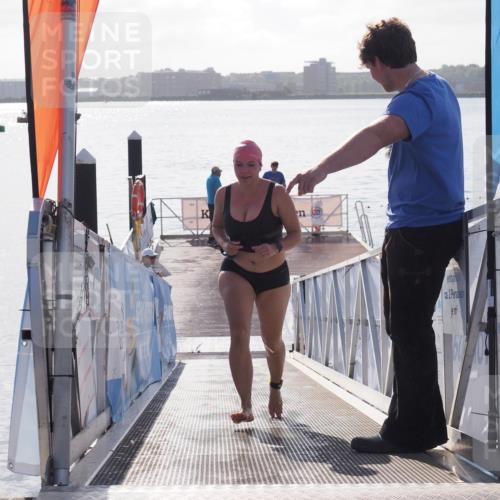 17.08.2025 - KN Förde Triathlon 2025 MichiJ http://msf.ph/oto/8585218 17.08.2025 09:24:02 Schwimmen 231, 231 meine-sportfotos.de
