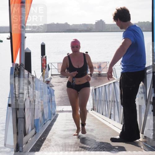17.08.2025 - KN Förde Triathlon 2025 MichiJ http://msf.ph/oto/8585225 17.08.2025 09:24:03 Schwimmen 231, 231 meine-sportfotos.de