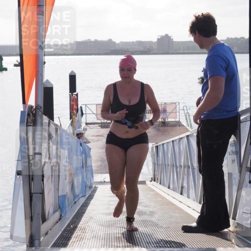 17.08.2025 - KN Förde Triathlon 2025 MichiJ http://msf.ph/oto/8585234 17.08.2025 09:24:03 Schwimmen 231, 231 meine-sportfotos.de