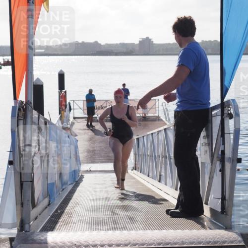 17.08.2025 - KN Förde Triathlon 2025 MichiJ http://msf.ph/oto/8585335 17.08.2025 09:24:36 Schwimmen 243, 118, 243 meine-sportfotos.de