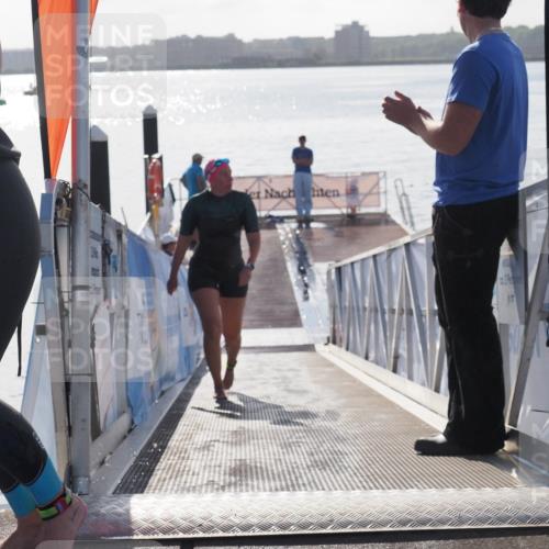 17.08.2025 - KN Förde Triathlon 2025 MichiJ http://msf.ph/oto/8585790 17.08.2025 09:25:21 Schwimmen 199, 248, 199 meine-sportfotos.de