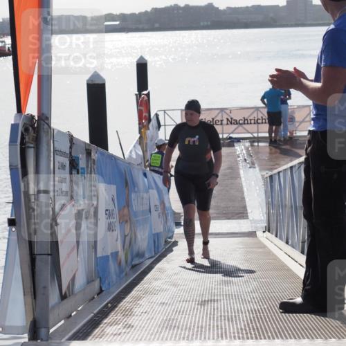 17.08.2025 - KN Förde Triathlon 2025 MichiJ http://msf.ph/oto/8585899 17.08.2025 09:27:12 Schwimmen 245, 245 meine-sportfotos.de