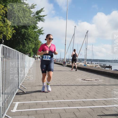 17.08.2025 - KN Förde Triathlon 2025 KatJ http://msf.ph/oto/8588072 17.08.2025 10:13:50 Laufen 137 meine-sportfotos.de