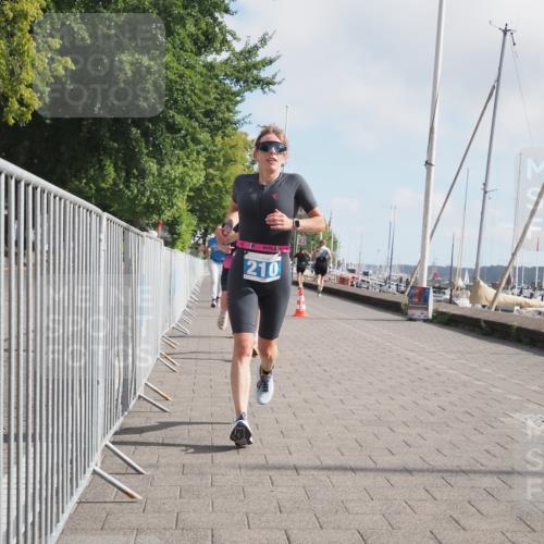 17.08.2025 - KN Förde Triathlon 2025 KatJ http://msf.ph/oto/8589241 17.08.2025 10:15:44 Laufen 127, 150, 152, 169, 210, 234 meine-sportfotos.de