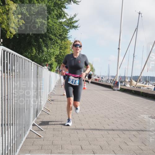 17.08.2025 - KN Förde Triathlon 2025 KatJ http://msf.ph/oto/8589245 17.08.2025 10:15:44 Laufen 127, 150, 152, 169, 210, 234 meine-sportfotos.de