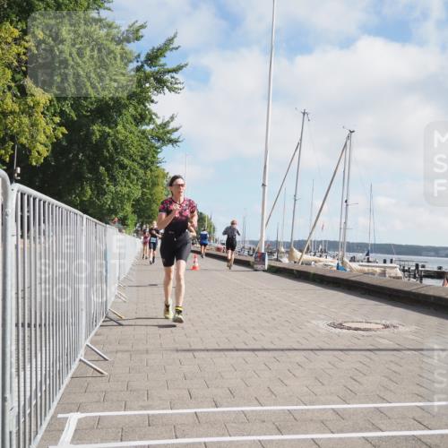 17.08.2025 - KN Förde Triathlon 2025 KatJ http://msf.ph/oto/8590858 17.08.2025 10:17:57 Laufen 143, 173, 204 meine-sportfotos.de