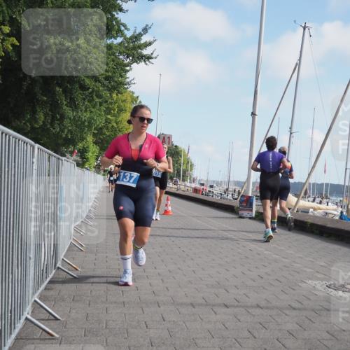 17.08.2025 - KN Förde Triathlon 2025 KatJ http://msf.ph/oto/8595271 17.08.2025 10:24:04 Laufen 137, 215, 246 meine-sportfotos.de