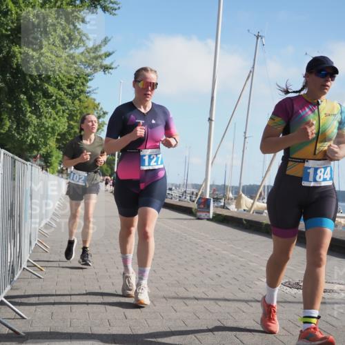 17.08.2025 - KN Förde Triathlon 2025 KatJ http://msf.ph/oto/8596924 17.08.2025 10:26:48 Laufen 102, 127, 149, 169, 173, 180, 184 meine-sportfotos.de