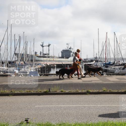 17.08.2025 - KN Förde Triathlon 2025 Yannick Fuchs http://msf.ph/oto/8615776 17.08.2025 09:26:58 Radfahren 180, 250, 253, 254 meine-sportfotos.de