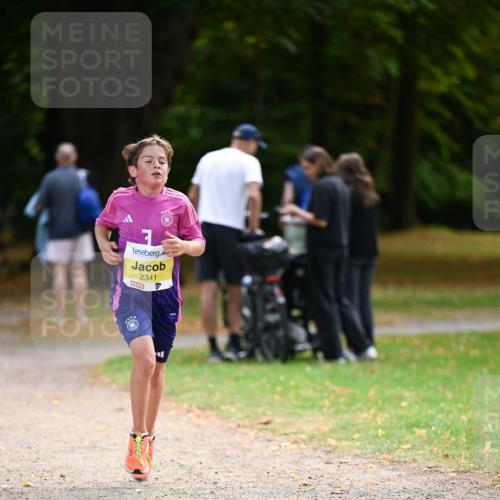 31.08.2025 - 21. Blankeneser Heldenlauf Dr. Thomas Lammeyer http://msf.ph/oto/8629985 31.08.2025 10:10:10 Laufen 2341 meine-sportfotos.de