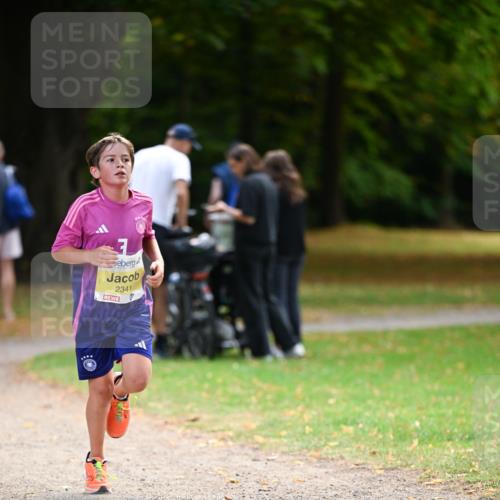 31.08.2025 - 21. Blankeneser Heldenlauf Dr. Thomas Lammeyer http://msf.ph/oto/8629987 31.08.2025 10:10:10 Laufen 7, 2341 meine-sportfotos.de