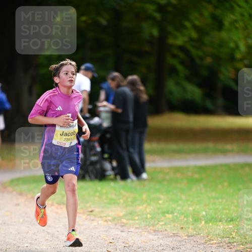 31.08.2025 - 21. Blankeneser Heldenlauf Dr. Thomas Lammeyer http://msf.ph/oto/8629988 31.08.2025 10:10:11 Laufen 2341 meine-sportfotos.de