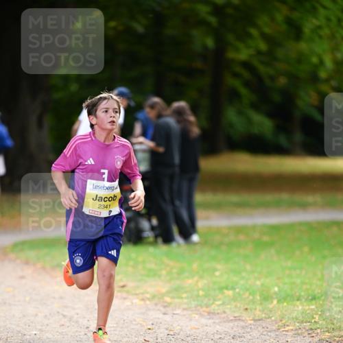 31.08.2025 - 21. Blankeneser Heldenlauf Dr. Thomas Lammeyer http://msf.ph/oto/8629989 31.08.2025 10:10:11 Laufen 2341 meine-sportfotos.de