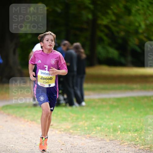 31.08.2025 - 21. Blankeneser Heldenlauf Dr. Thomas Lammeyer http://msf.ph/oto/8629990 31.08.2025 10:10:11 Laufen 2341 meine-sportfotos.de