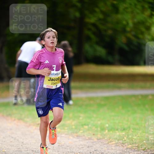 31.08.2025 - 21. Blankeneser Heldenlauf Dr. Thomas Lammeyer http://msf.ph/oto/8629992 31.08.2025 10:10:11 Laufen 7, 2341 meine-sportfotos.de