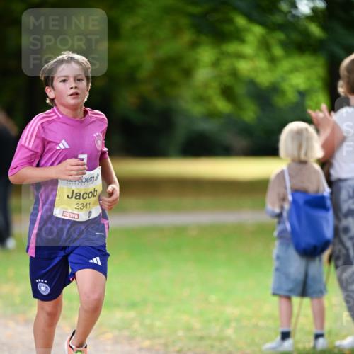 31.08.2025 - 21. Blankeneser Heldenlauf Dr. Thomas Lammeyer http://msf.ph/oto/8629997 31.08.2025 10:10:12 Laufen 2341 meine-sportfotos.de