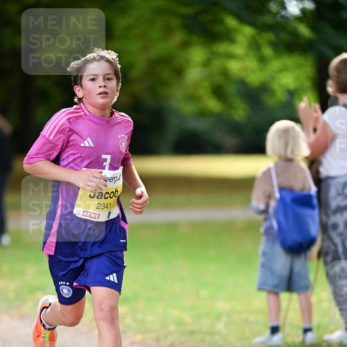 31.08.2025 - 21. Blankeneser Heldenlauf Dr. Thomas Lammeyer http://msf.ph/oto/8629998 31.08.2025 10:10:12 Laufen 7, 2341, 1 meine-sportfotos.de