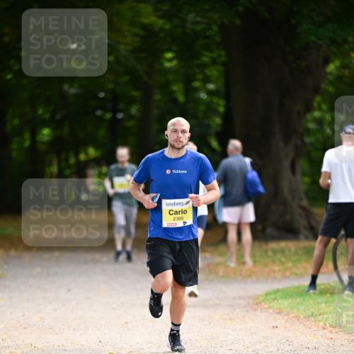 31.08.2025 - 21. Blankeneser Heldenlauf Dr. Thomas Lammeyer http://msf.ph/oto/8630068 31.08.2025 10:10:52 Laufen 2395 meine-sportfotos.de