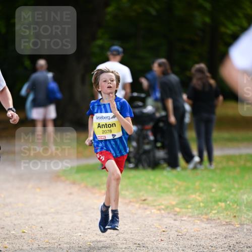 31.08.2025 - 21. Blankeneser Heldenlauf Dr. Thomas Lammeyer http://msf.ph/oto/8630168 31.08.2025 10:11:31 Laufen 2078 meine-sportfotos.de