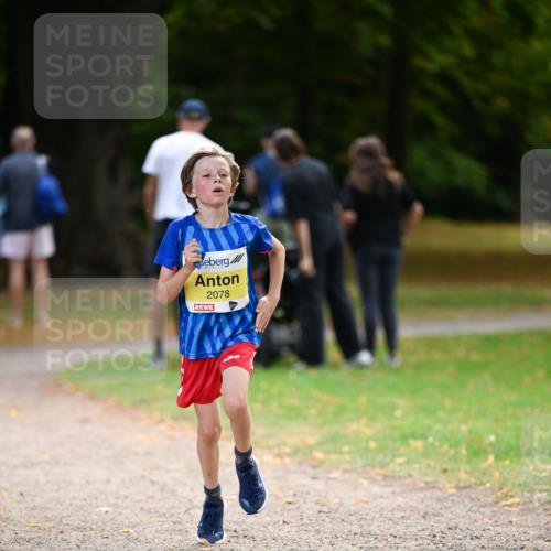 31.08.2025 - 21. Blankeneser Heldenlauf Dr. Thomas Lammeyer http://msf.ph/oto/8630170 31.08.2025 10:11:32 Laufen 2078 meine-sportfotos.de