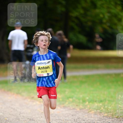 31.08.2025 - 21. Blankeneser Heldenlauf Dr. Thomas Lammeyer http://msf.ph/oto/8630174 31.08.2025 10:11:32 Laufen 2078 meine-sportfotos.de