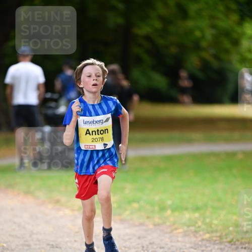 31.08.2025 - 21. Blankeneser Heldenlauf Dr. Thomas Lammeyer http://msf.ph/oto/8630175 31.08.2025 10:11:32 Laufen 2078 meine-sportfotos.de