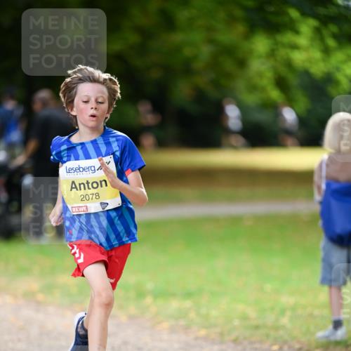 31.08.2025 - 21. Blankeneser Heldenlauf Dr. Thomas Lammeyer http://msf.ph/oto/8630178 31.08.2025 10:11:33 Laufen 2078 meine-sportfotos.de