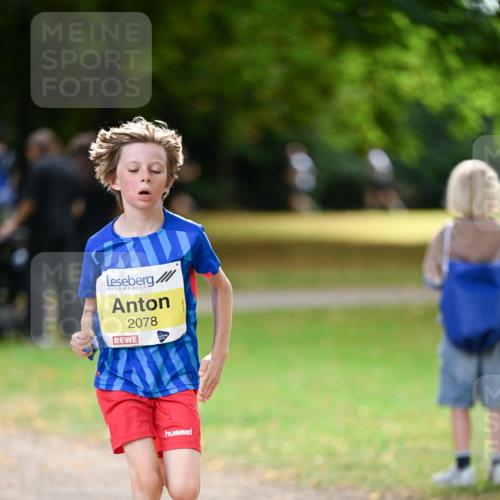 31.08.2025 - 21. Blankeneser Heldenlauf Dr. Thomas Lammeyer http://msf.ph/oto/8630179 31.08.2025 10:11:33 Laufen 2078 meine-sportfotos.de