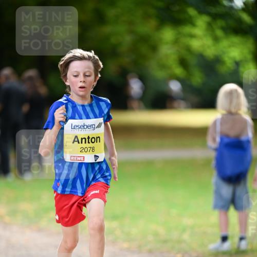 31.08.2025 - 21. Blankeneser Heldenlauf Dr. Thomas Lammeyer http://msf.ph/oto/8630180 31.08.2025 10:11:33 Laufen 2078 meine-sportfotos.de